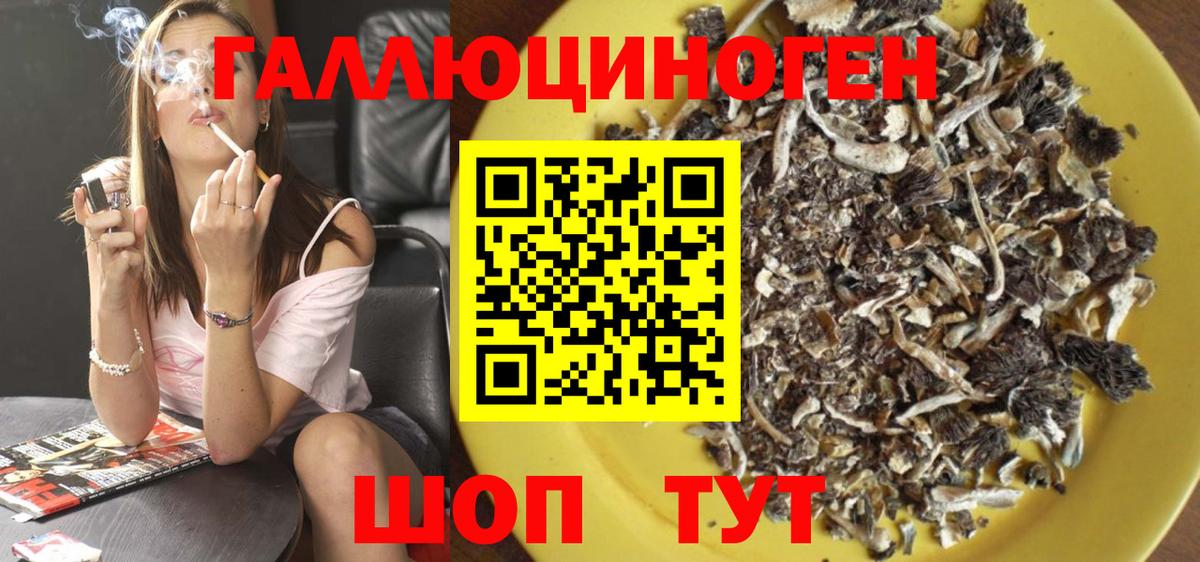 Галлюциногенные грибы Cubensis Городец