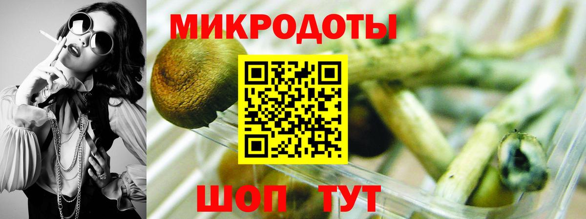 дарнет шоп  Псилоцибиновые грибы Cubensis  Вход с VPN  Городец 